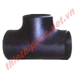 null te-thep-han-sch20