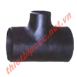 null te-thep-han-sch20